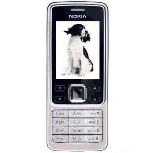Refurbished Nokia 6300 With Battery & Charger- Silver